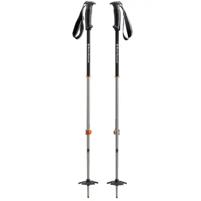 Ski Poles