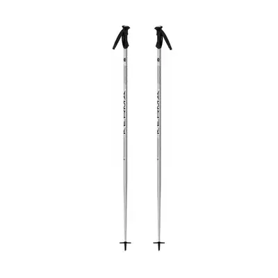 Kerma Vector Ski Poles/Silver